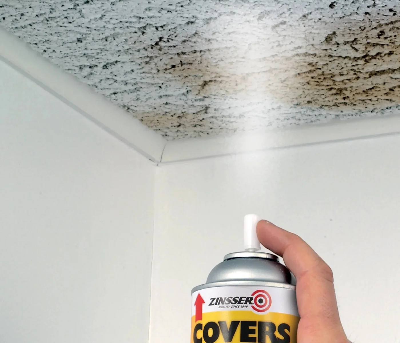 ZINSSER® COVERS UP – vue 2